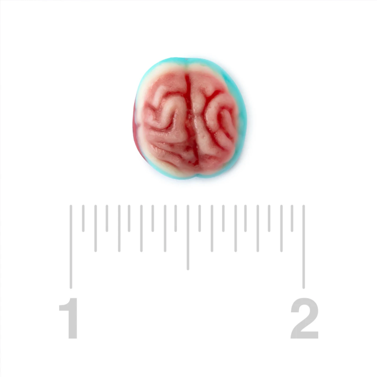 Gummy Brains - Brain Shaped Gummy Candy