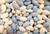Sconza Jordan Almonds Pastel Blue And White 2.5 Pound ( 40 OZ ) Sconza Jordan Almonds Pastel Blue And White 2.5 Pound ( 40 OZ )
