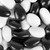 Sconza Jordan Almonds Black And White Mix | Tuxedo Mix | 1 Pound ( 16 OZ ) Sconza Jordan Almonds Black And White Mix | Tuxedo Mix | 1 Pound ( 16 OZ )
