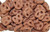 Guittards Chocolate | Milk Chocolate Covered Mini Pretzels | 3 Pound ( 48 OZ ) By CandyKorner®