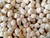 Jelly Belly Champagne Bubbles 10 Pound ( 160 OZ ) Jelly Belly Champagne Bubbles 10 Pound ( 160 OZ )