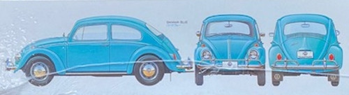 VW Beetle by Tamiya, 1/24 scale.