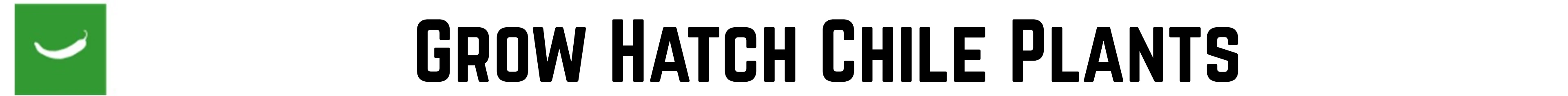HATCH CHILE PLANTS