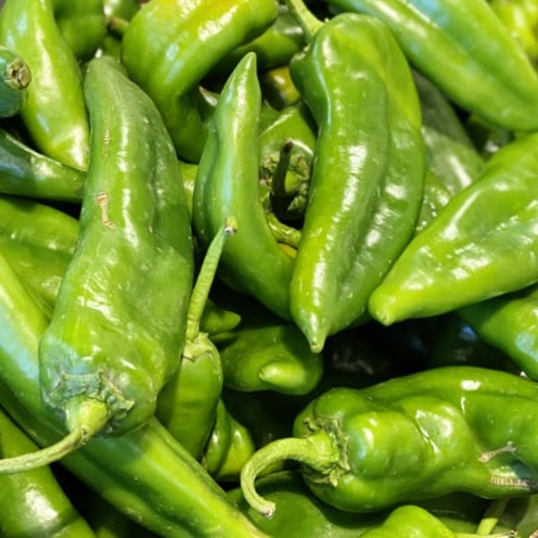 About Us | Hatch Chile Plants