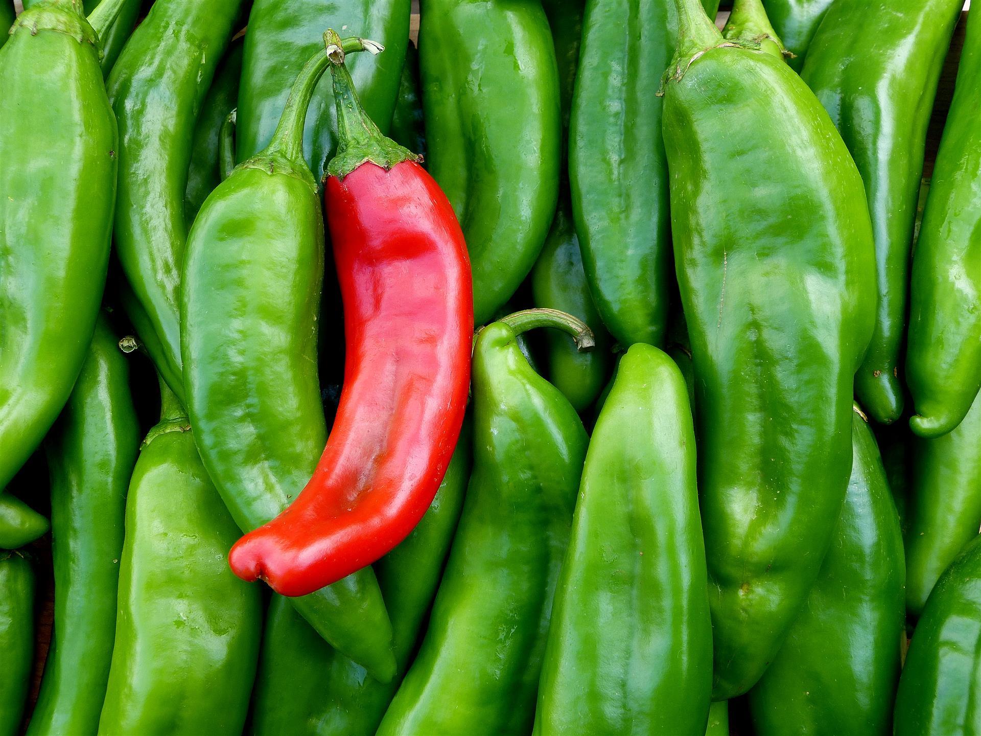sandia-hatch-chile-peppers.jpg