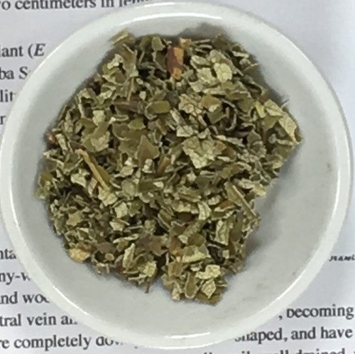 yerba santa