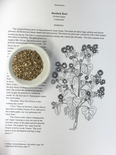 burdock root