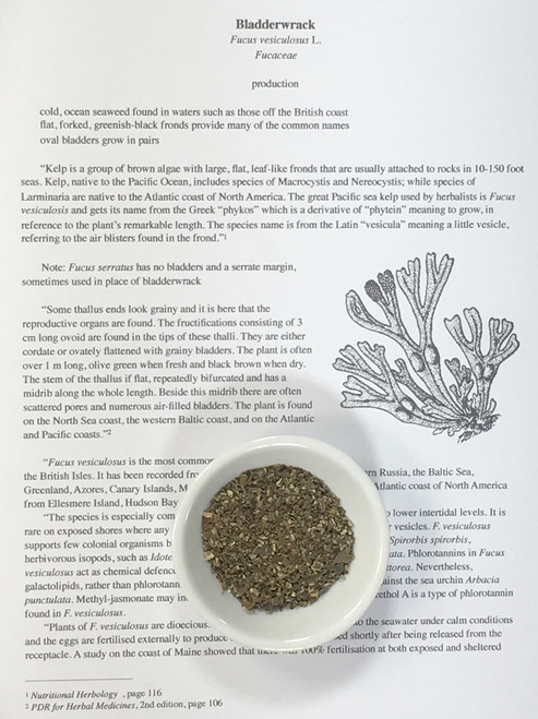 bladderwrack