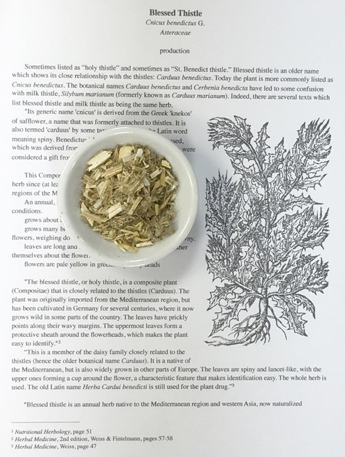 blessed thistle