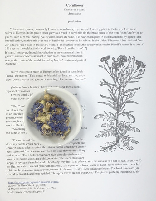 cornflower