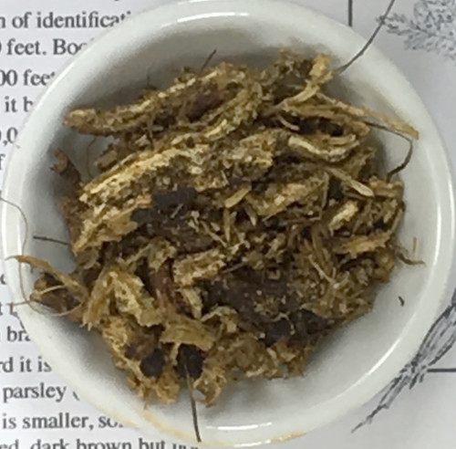 osha root [cut & small pieces]