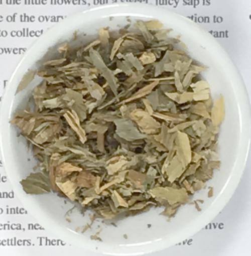 lily of the valley (leaf)