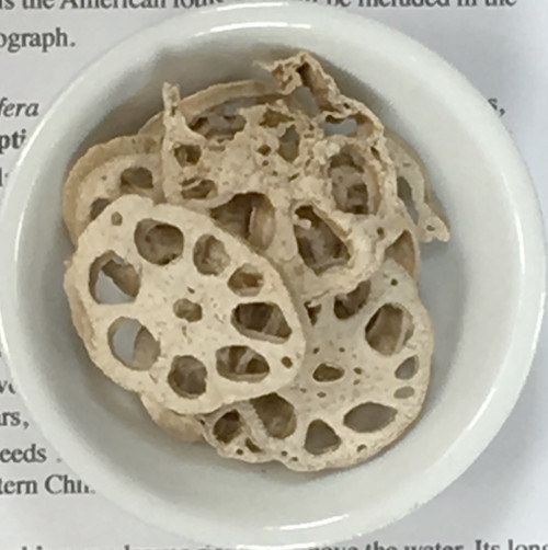 lotus root