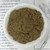 osha root [ground]