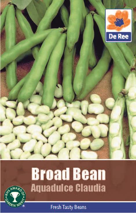 Broad Bean 'Aquadulce Claudia' Seeds Bunkers Hill Plant Nursery