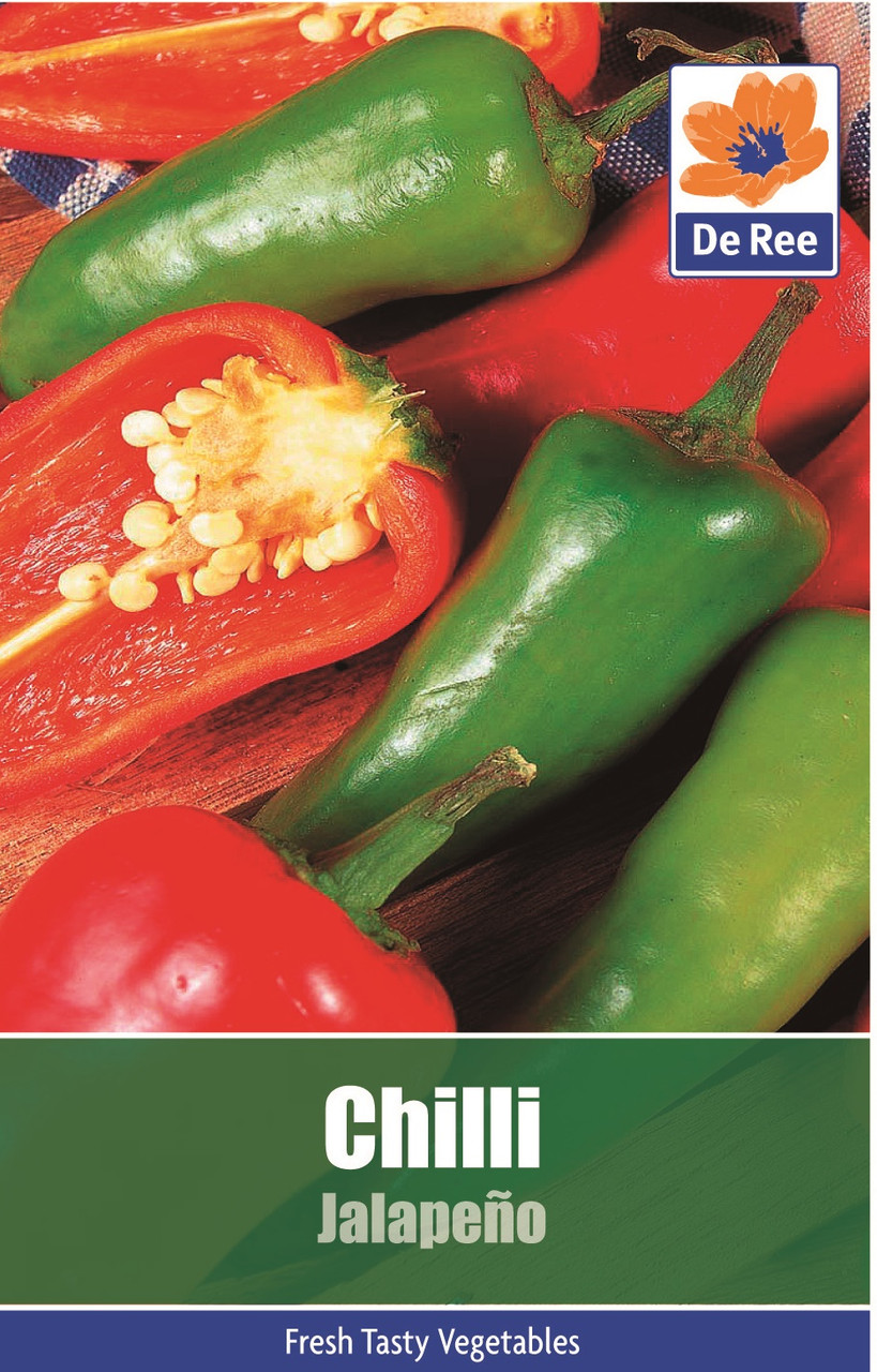 Chilli Jalapeno Seeds Bunkers Hill Plant Nursery