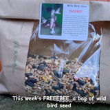 What's been happening at the nursery this week?