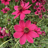 What's been happening at the nursery this week?