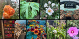 Weekly Newsletter - 6th September 2024