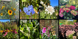 Weekly Newsletter - 16th August 2024