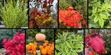 Weekly Newsletter - 18th October 2024