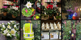 Weekly Newsletter - 20th December 2024