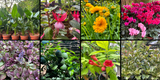 Weekly Newsletter - 23rd August 2024