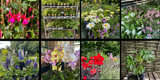 Weekly Newsletter - 21st June 2024