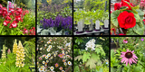 Weekly Newsletter - 5th July 2024