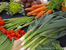 Vegetable & Salad Seeds