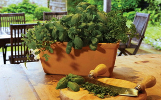 Verona Trough - 2 Sizes