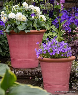 British Flowerpots Kitchen Planters