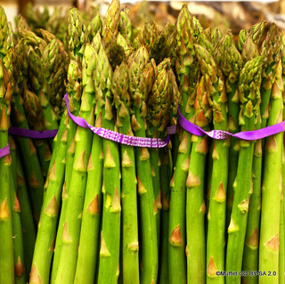 Asparagus 'Aspalim' (x5) bareroot