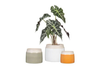 Jarro indoor planter