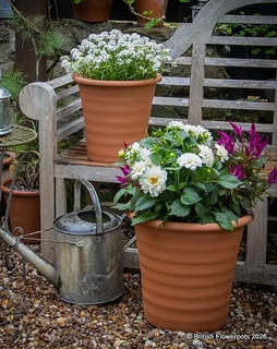 Ribbed Flowerpots