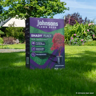 Johnsons 'Shady Place' lawn seed - 500g