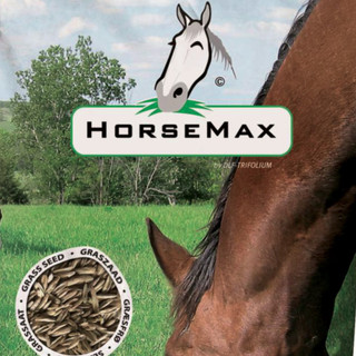Horsemax 'Paddock' lawn seed - 1kg (for 40sq m)