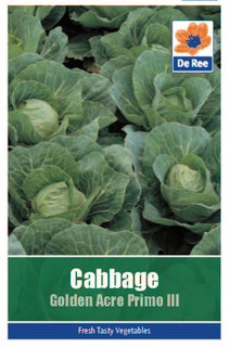 Cabbage 'Golden Acre Primo' Seeds