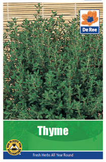 Thyme Seeds