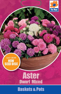 Aster Dwarf Mixed - Seed