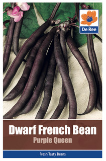 Dwarf French Bean 'Purple Queen' Seeds