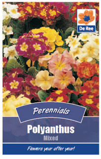 Polyanthus Mixed Seeds