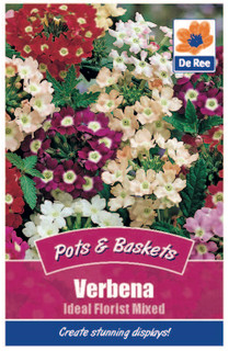 Verbena 'Ideal Florist Mixed' Seeds