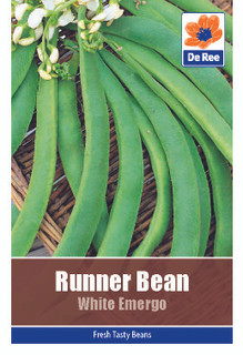 Runner Bean 'White Emergo' Seeds