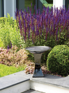 Bird bath - 3 Colours