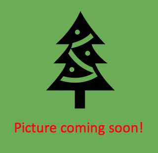 Nordmann Christmas Tree - 10ft premium-grade CUT