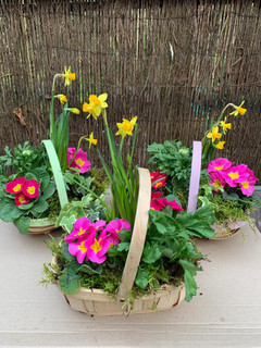 Spring Garden Trug
