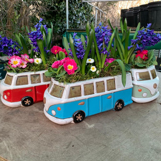 Campervan with roof garden