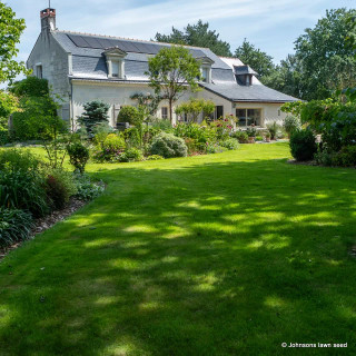 Johnsons 'Shady Place' lawn seed - 10kg