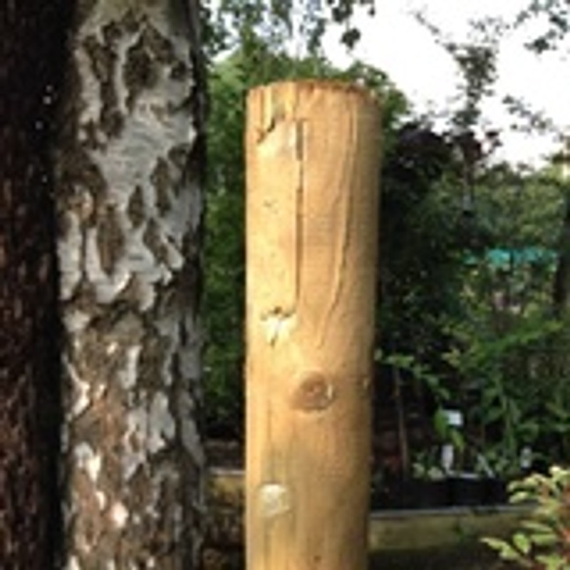 Tree Stake - 4ft round